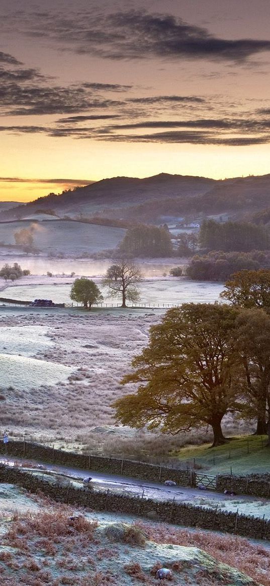 morning, frost, hoarfrost, fence, field, trees