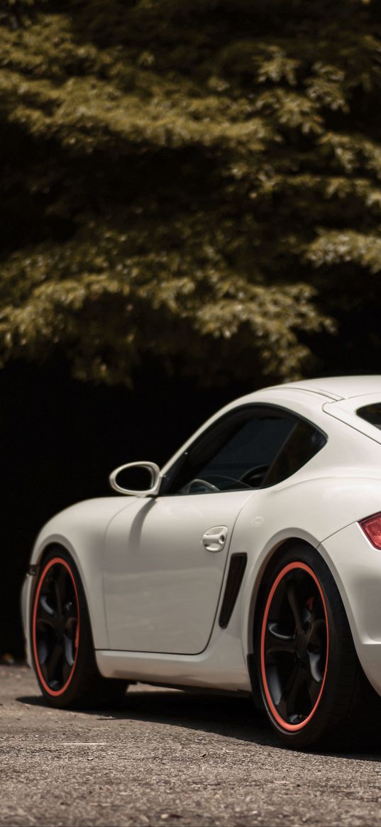 porsche cayman s, porsche, car, sportscar, white, side view