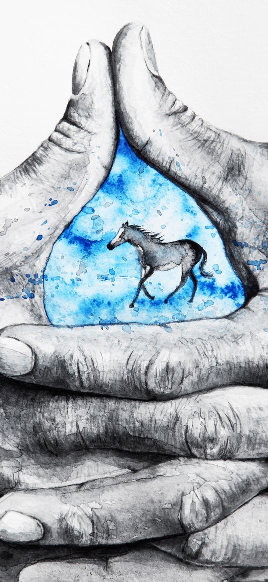 hands, fingers, horse, drawing, art