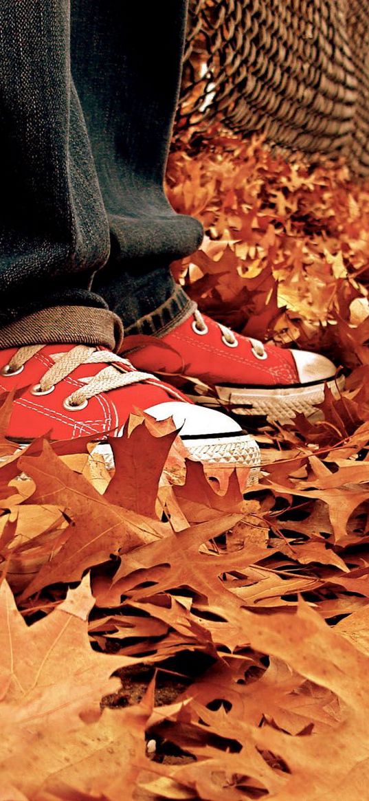 gym shoes, leaves, autumn