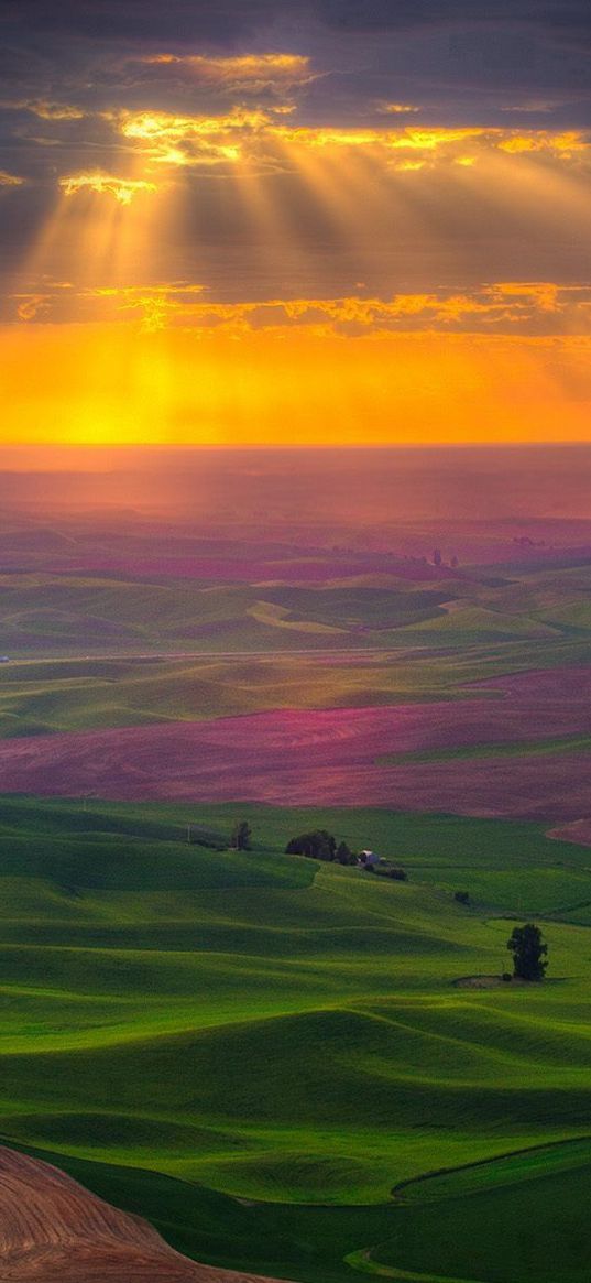 plain, road, fields, greens, sky, sun, light, clouds