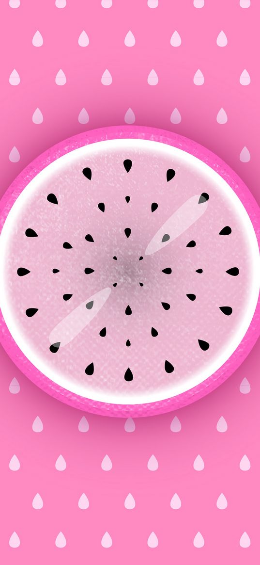 pitahaya, fruit, exotic, art, vector