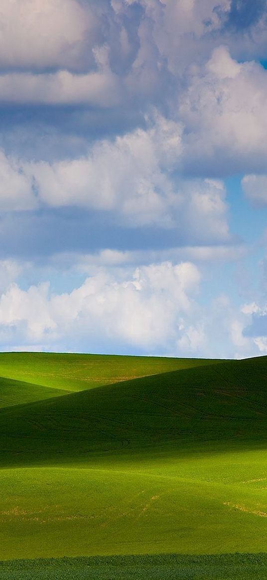 meadows, plain, greens, sky