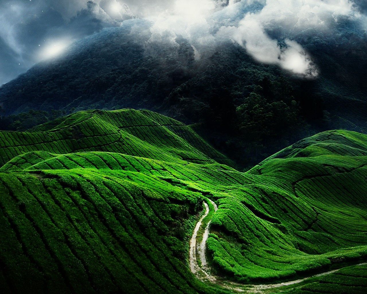 road, fields, clouds, slopes, greens