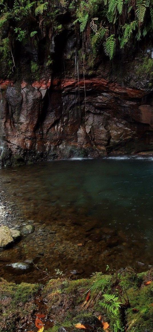 falls, stones, vegetation, gorge