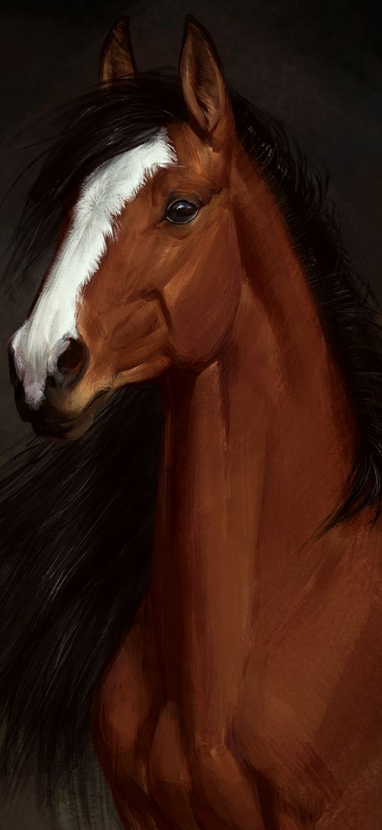 horse, brown, art, animal