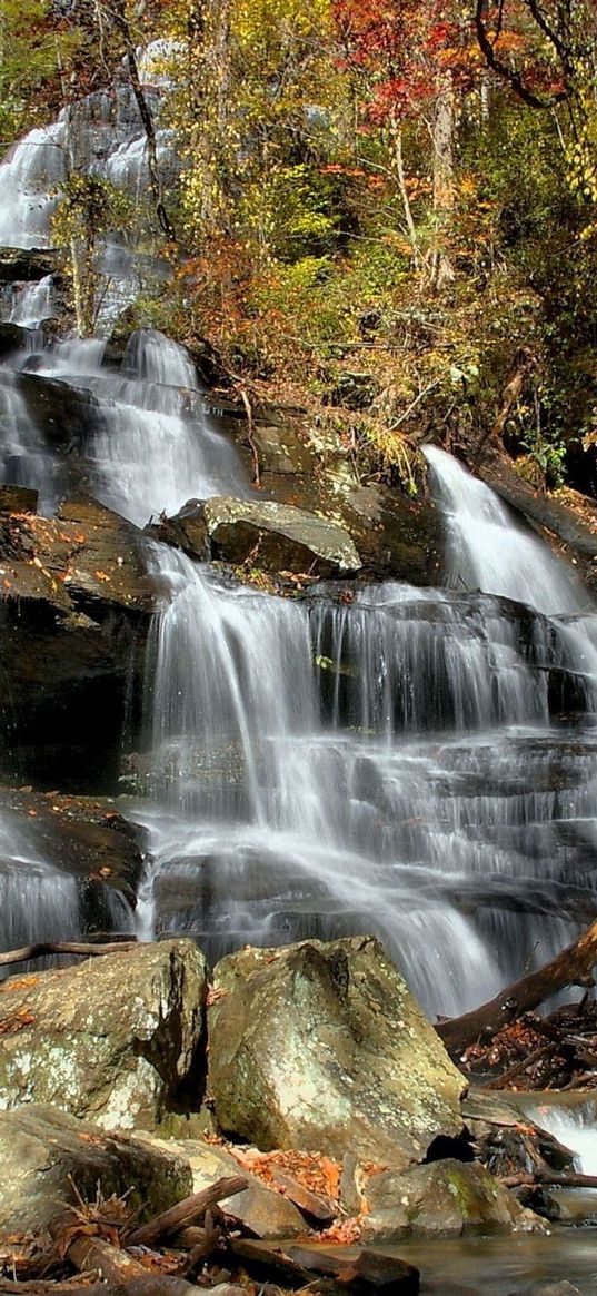 falls, cascades, wood, leaves, trees, stones