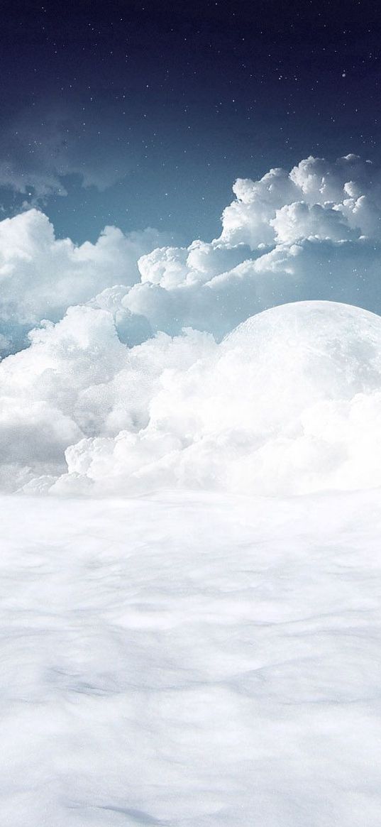 polar bear, clouds, snow