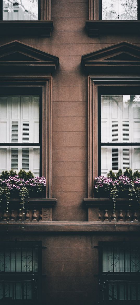 building, facade, windows, flowers, architecture