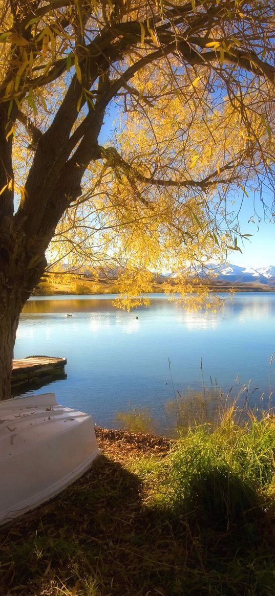 boat, coast, lake, tree