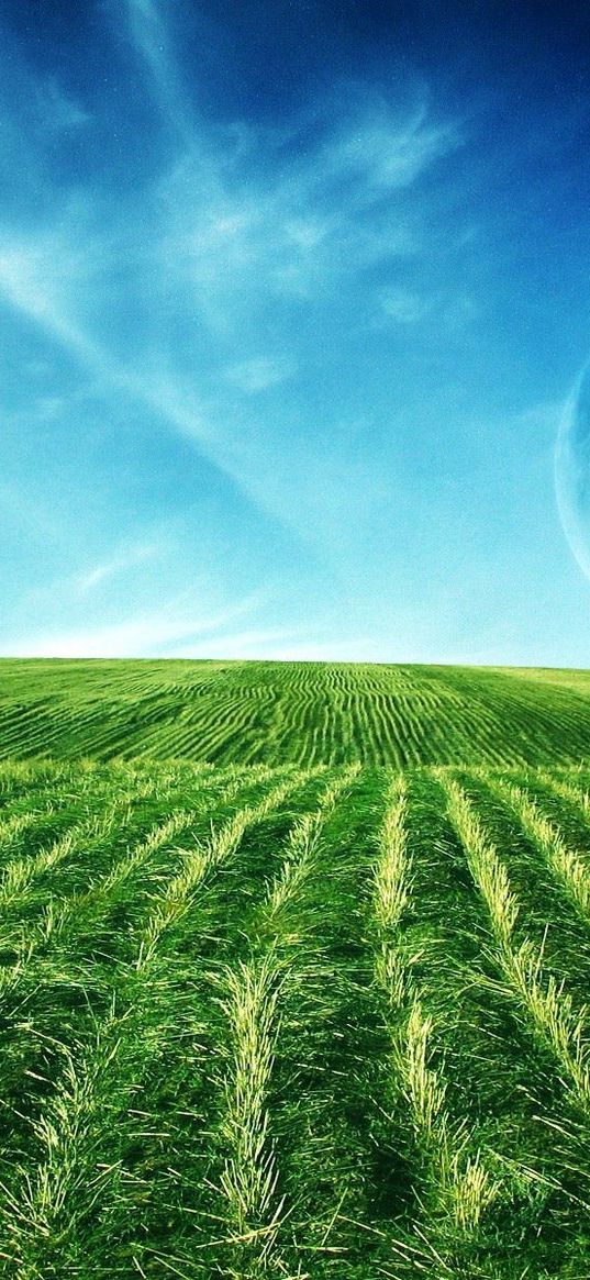 fields, vegetation, planets, greens