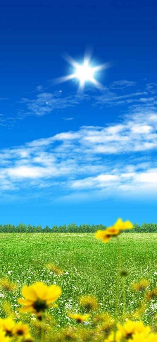 field, flowers, tree, clouds, ladybird