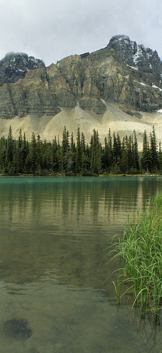 glacial lake, alberta, canada, mountains, trees, grass