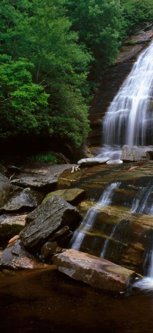 falls, cascades, summer, trees