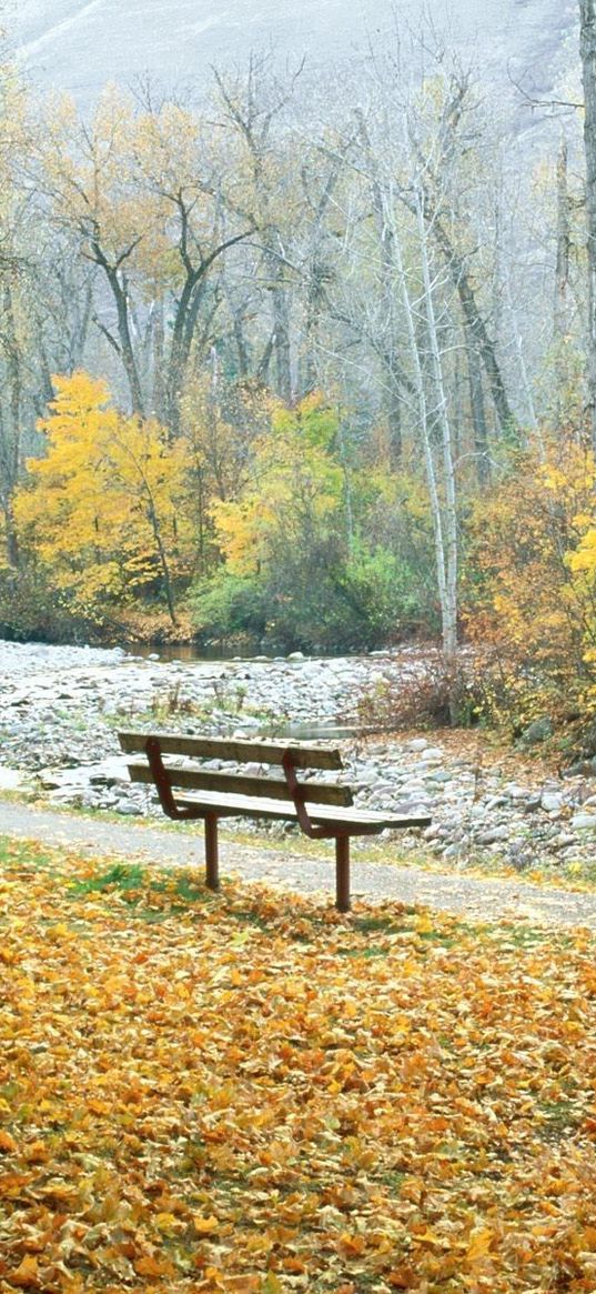 bench, park, autumn, trees, montana