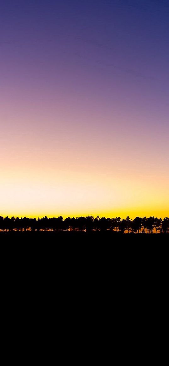 trees, evening, decline, horizon, number, outlines