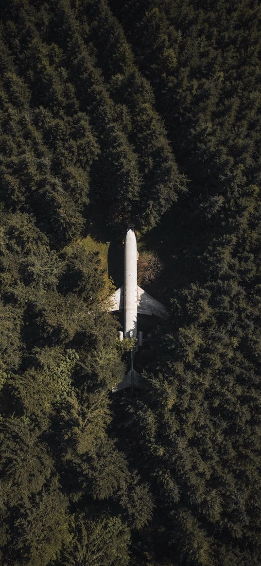 airplane, forest, aerial view, trees, treetops