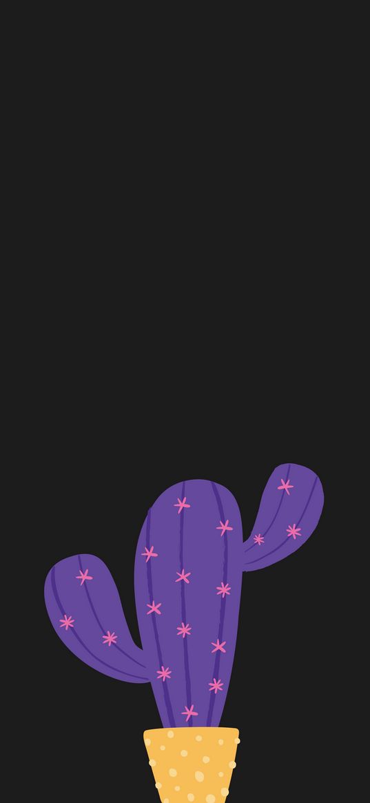 cactus, pot, succulent, vector, purple