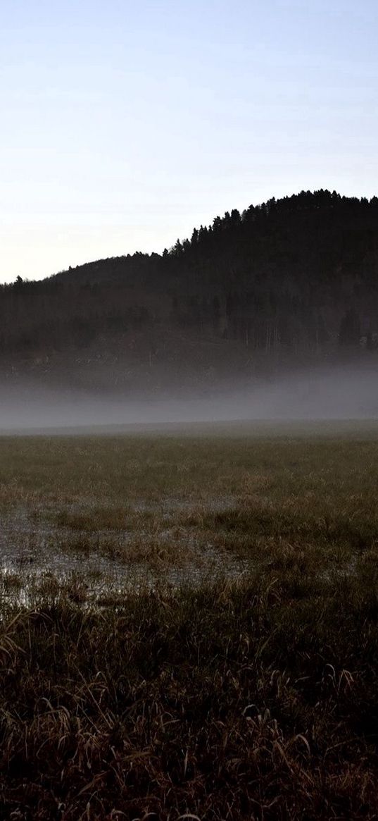 field, gray, bog, fog