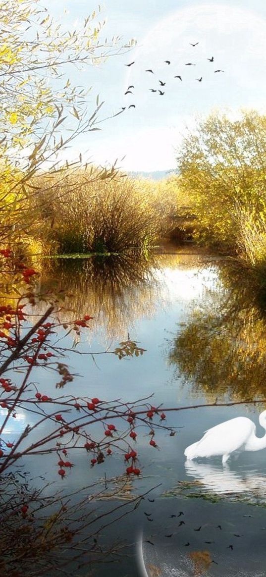 lake, crane, phantom, trees, birds