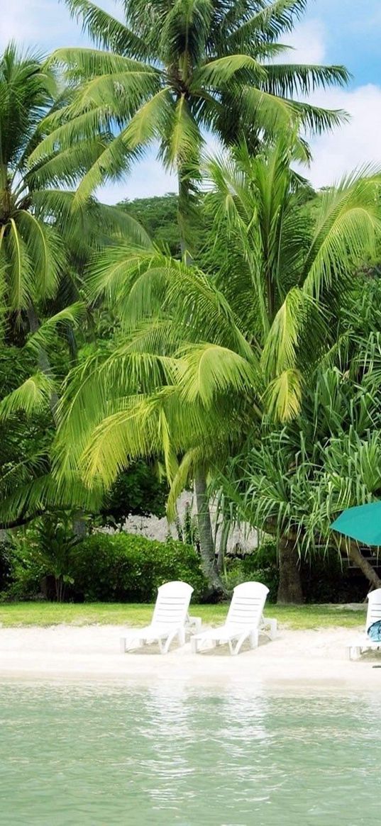 beach, palm trees, coast, sand, chaise lounges, hut