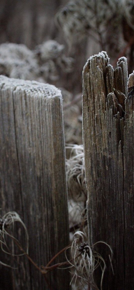 boards, fence, hoarfrost, grass