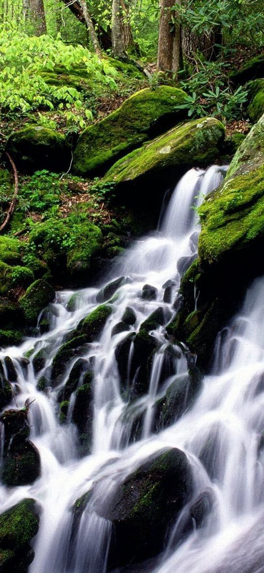 falls, stones, moss, wood, cascades, green