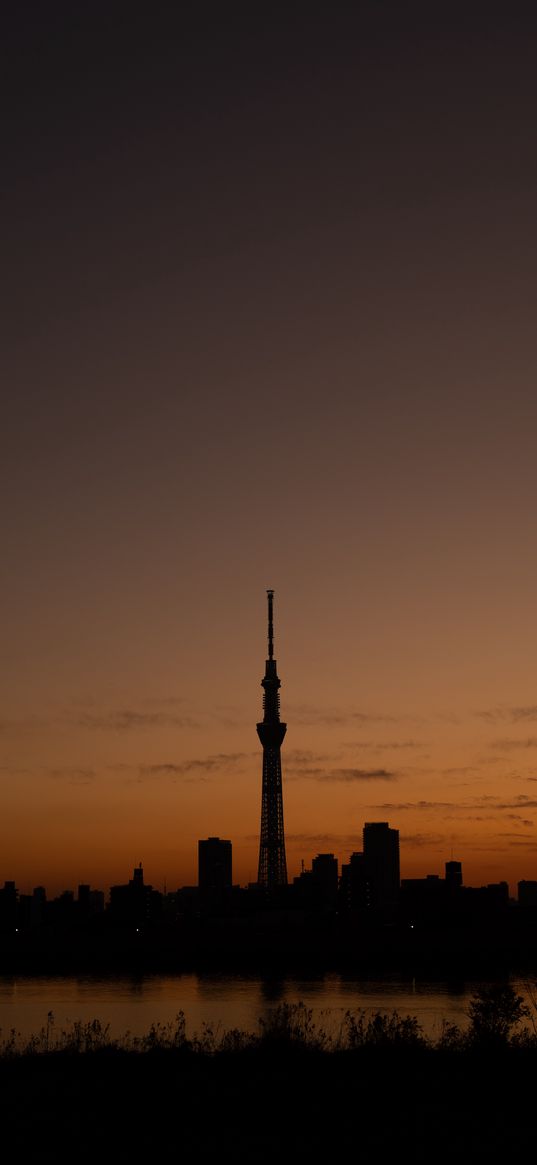 city, buildings, dusk, dark, panorama