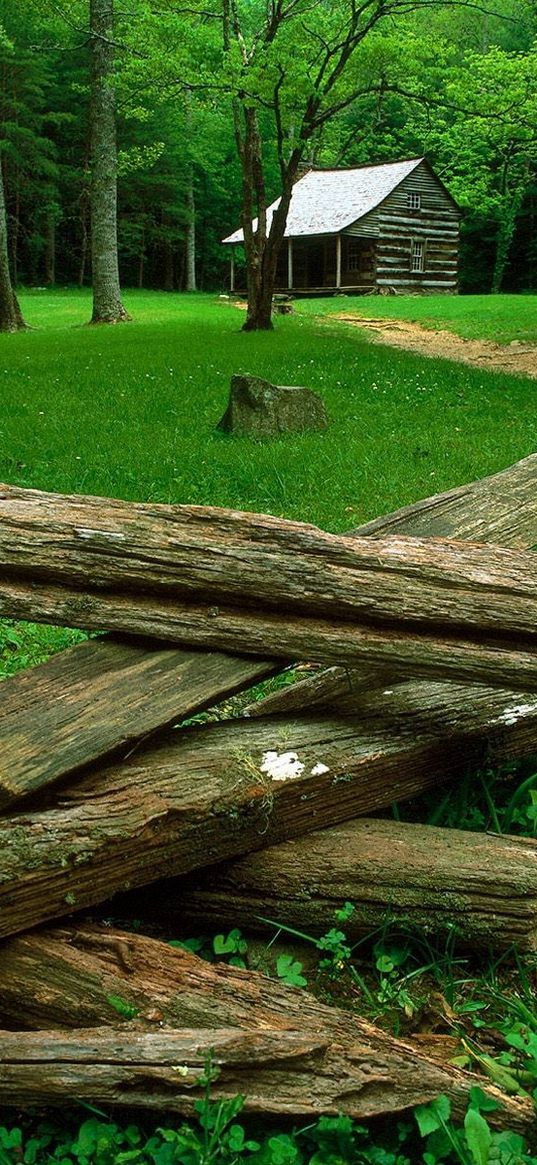 wood, glade, houses, trees, grass, green, dry logs