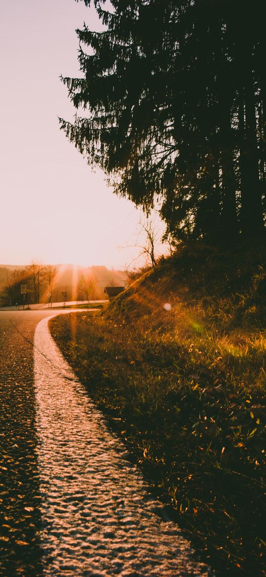 road, turn, sunset, sunlight, nature