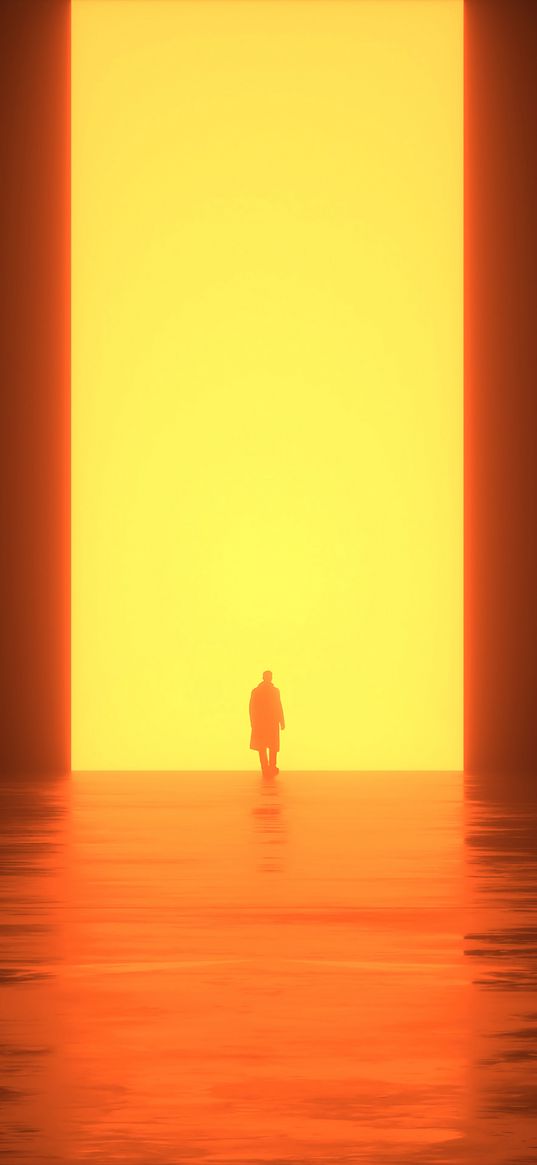 silhouette, light, portal, bright, glow