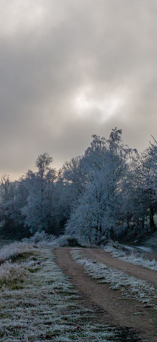 road, trees, hoarfrost, winter, frost