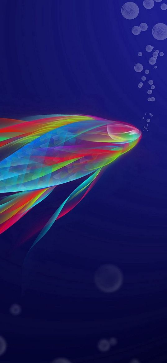 fish, shape, swimming, rainbow