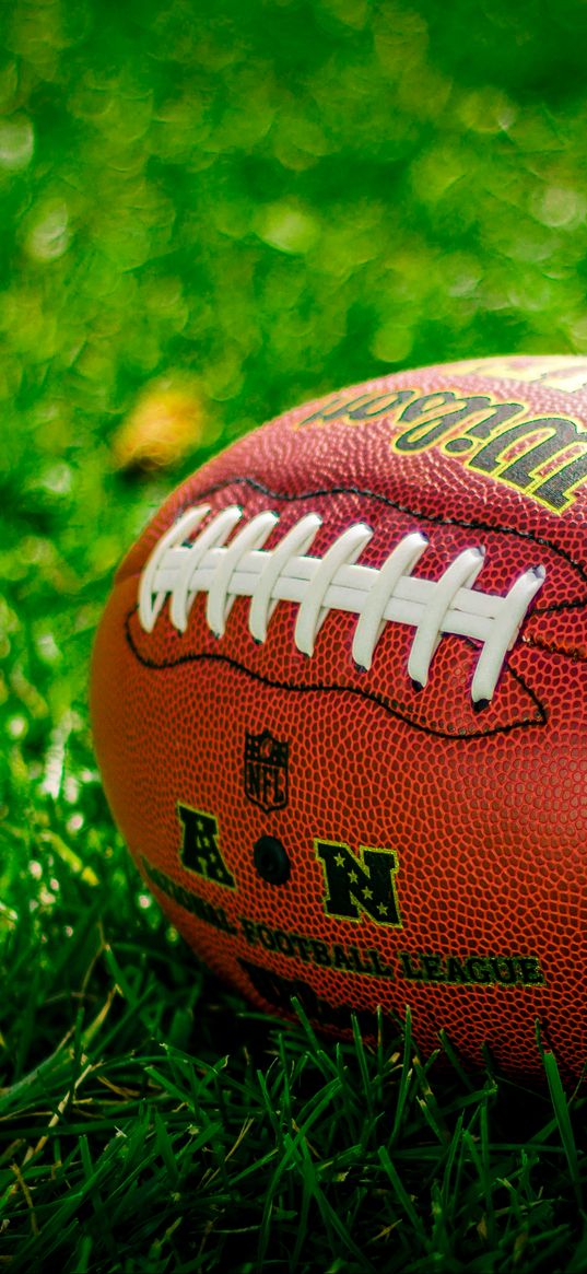 ball, rugby, american football, football, lawn