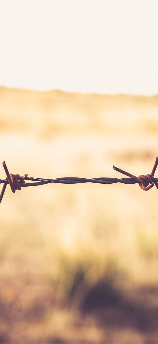 barbed wire, spikes, macro, wire, barbed