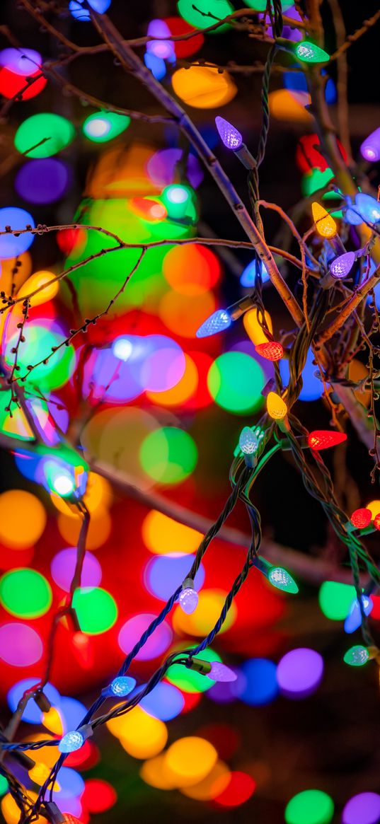 branches, garlands, colorful, lights, festive