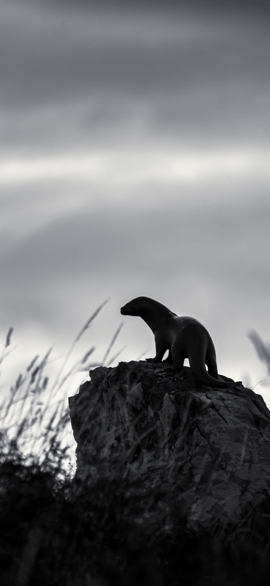 otter, stone, bw, sculpture, dark