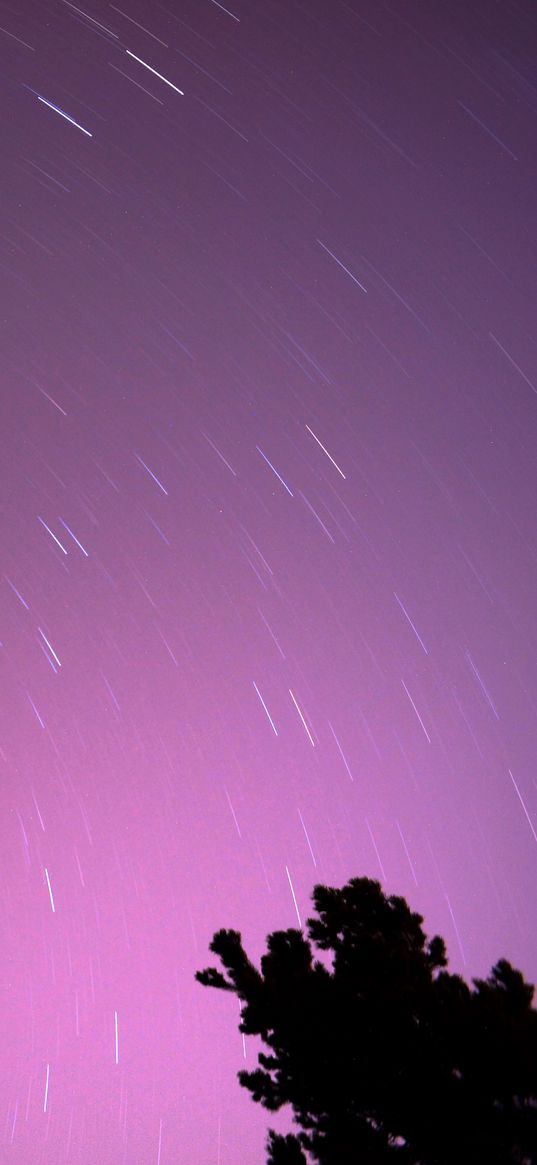 starry sky, stars, motion, long exposure, night