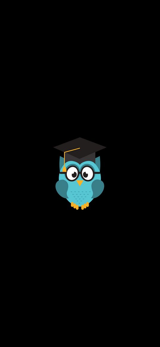 owl, hat, student, art, vector