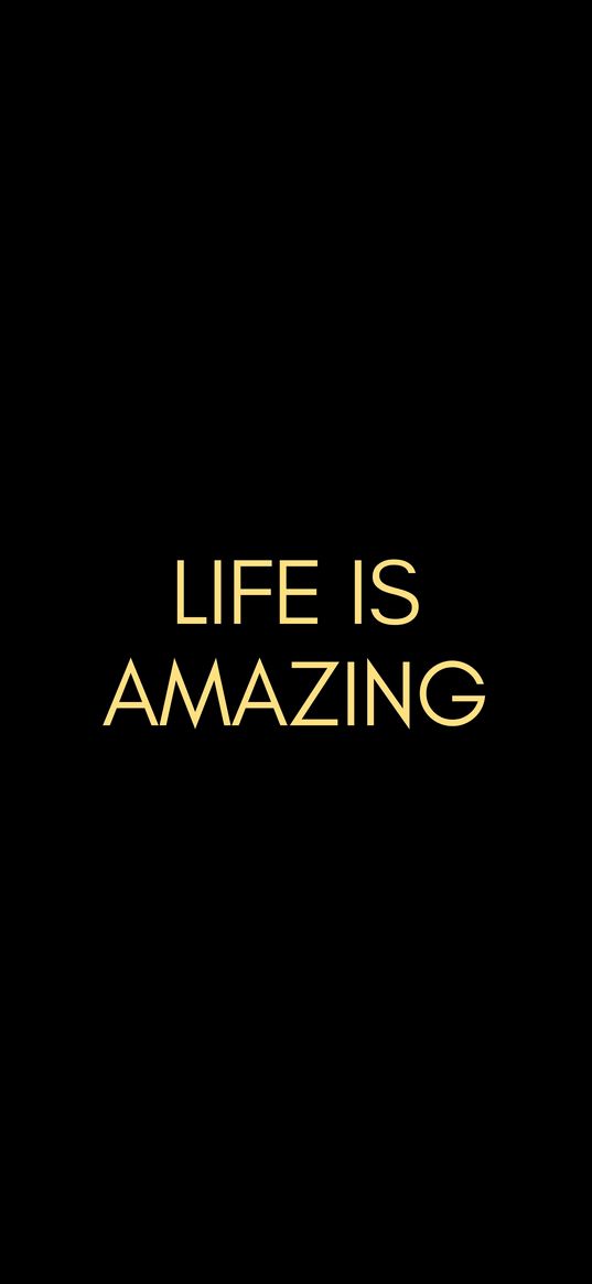 life, amazing, inscription, phrase, words