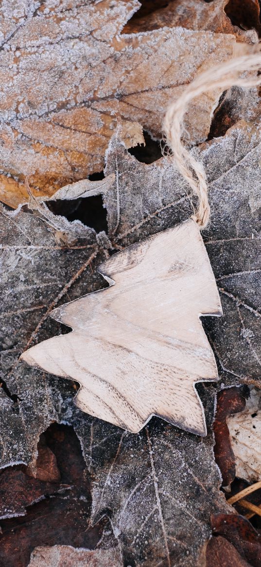 tree, wooden, crafts, leaves, frost