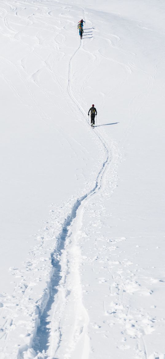 skiers, mountain, snow, path