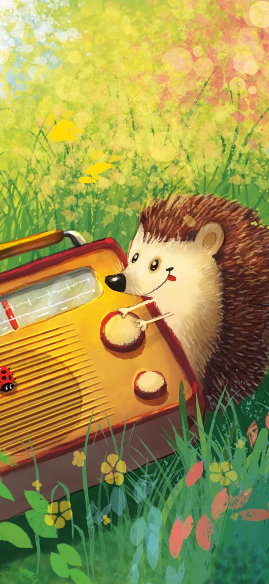 hedgehog, radio, grass, art, cute