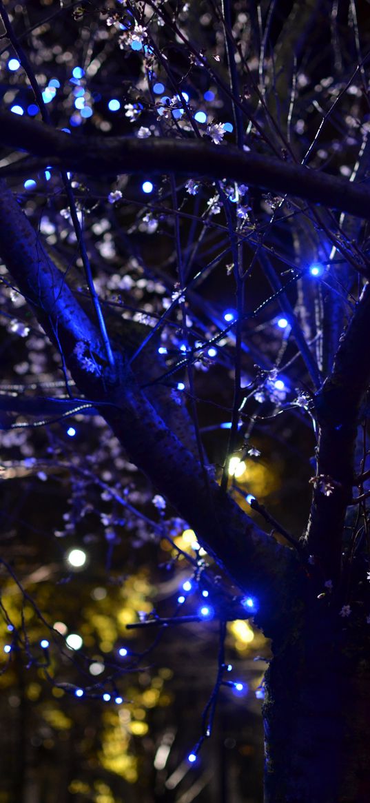 trees, garlands, flowers, lights, illumination