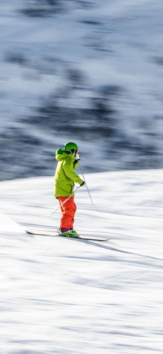 skier, skiing, winter, snow, mountains