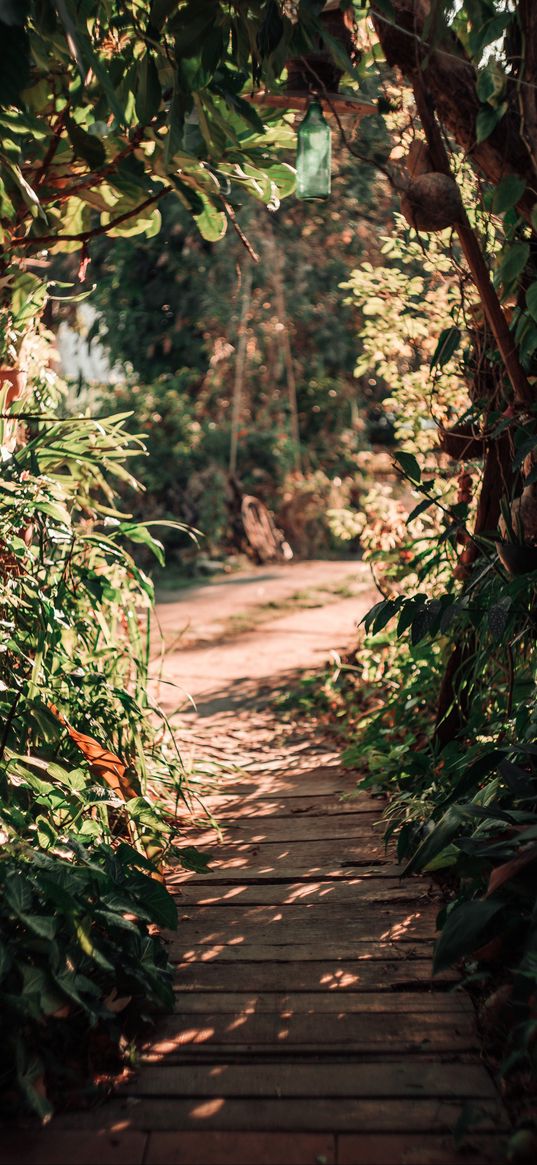 path, bushes, plants, nature