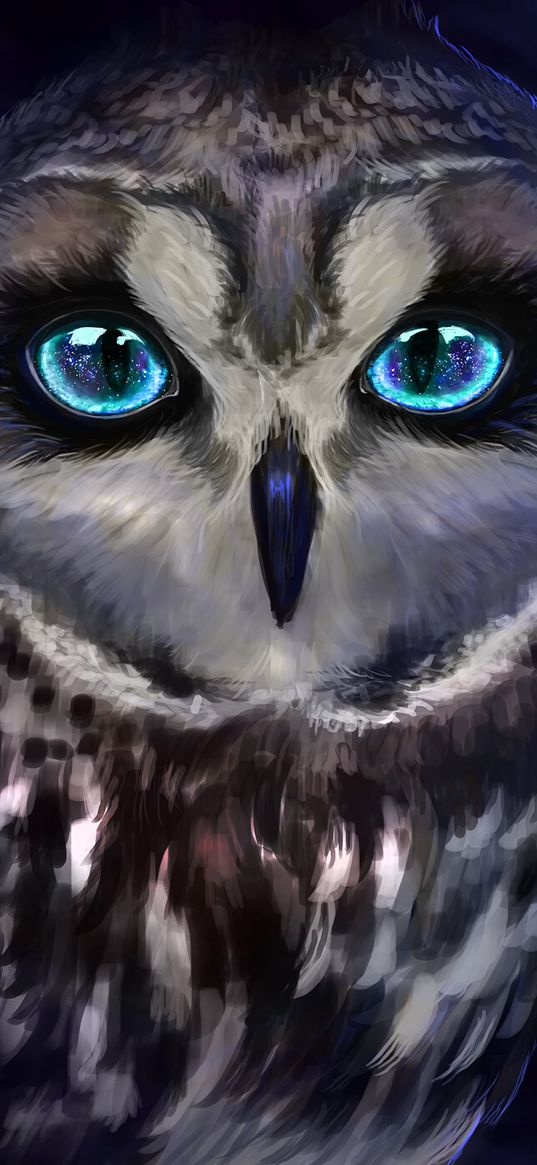 owl, bird, art, взгляд