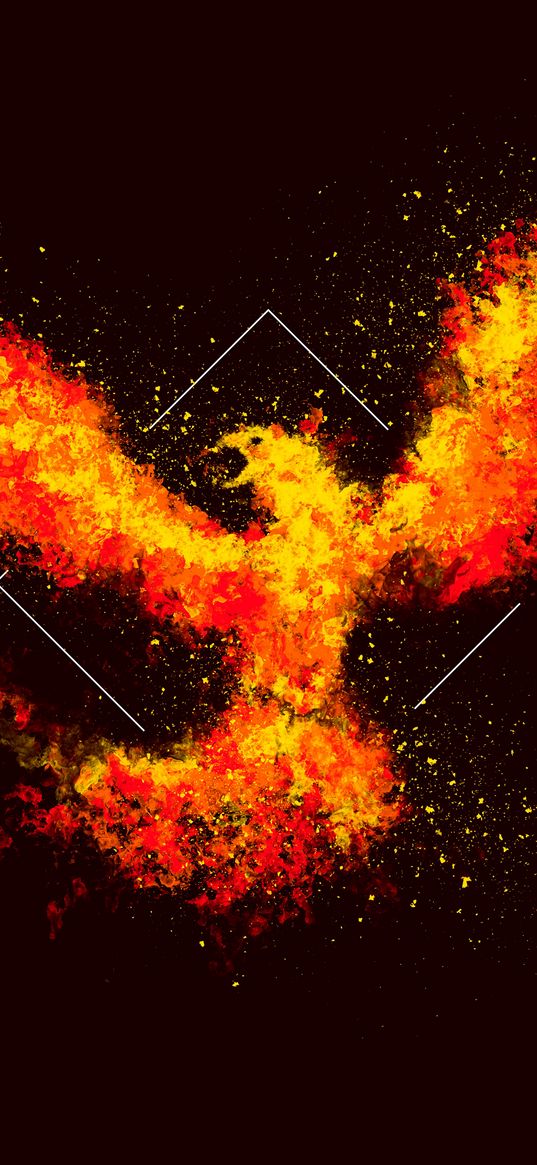 phoenix, bird, fire, art, square