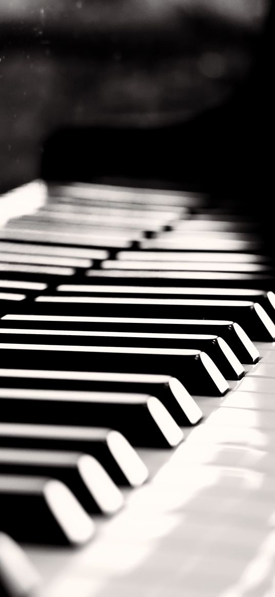 piano, bw, keys, musical instrument