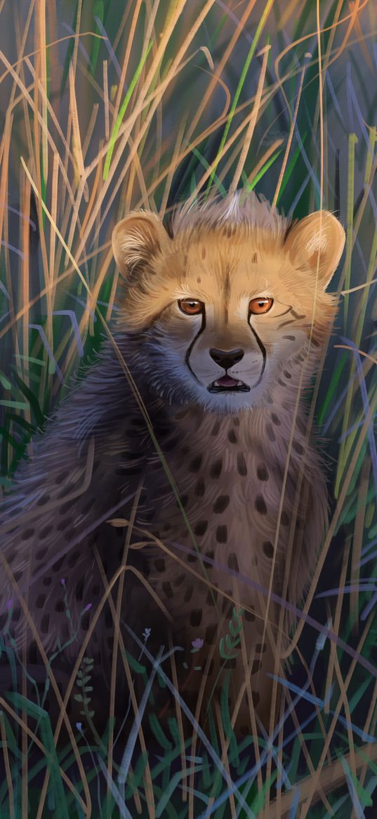 cheetah, big cat, predator, art, wildlife